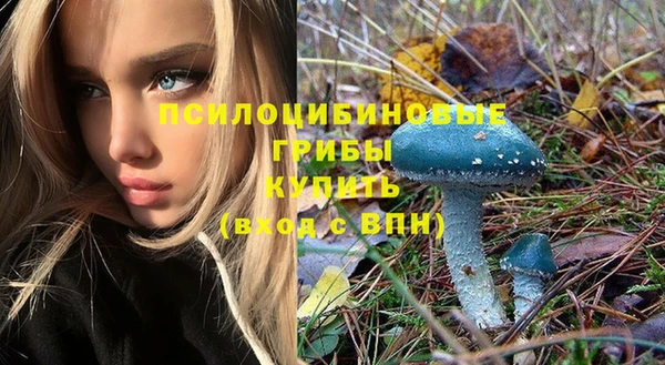 мдма Козельск