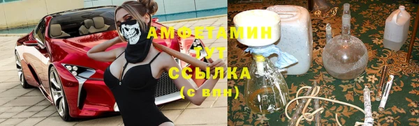 ГАЛЛЮЦИНОГЕННЫЕ ГРИБЫ Кодинск