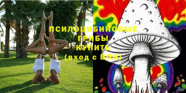 винт Козловка