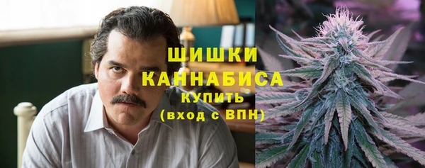 ГАЛЛЮЦИНОГЕННЫЕ ГРИБЫ Кодинск