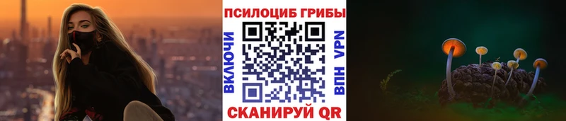Купить  Жердевка  Псилоцибиновые грибы Magic Shrooms 